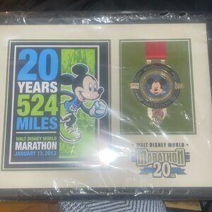 Walt Disney World 10+years ago Disney Memorabilia See image measurements & COA!